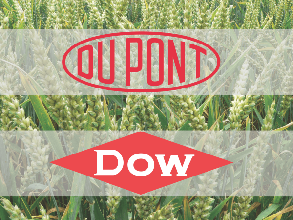   DowDuPont,         2018 
